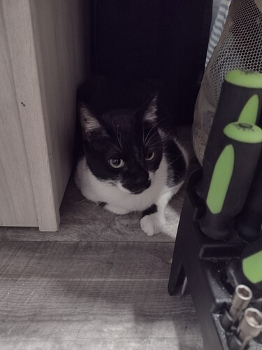 IMG_20251026_164916421_HDR